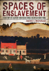 Spaces of Enslavement By Andrea C. Mosterman Cover Image