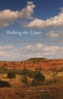 Walking the Llano: A Texas Memoir of Place By Shelley Armitage Cover Image