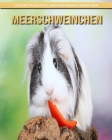 Meerschweinchen: Das erstaunliche Leben der Meerschweinchen By Lina Maisto Cover Image