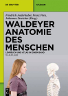 Waldeyer - Anatomie Des Menschen: Lehrbuch Und Atlas in Einem Band (de Gruyter Studium) Cover Image