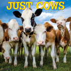 Just Cows 2025 12 X 12 Wall Calendar By Willow Creek Press Cover Image