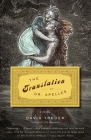 The Translation of Dr. Apelles (Vintage Contemporaries) By David Treuer Cover Image