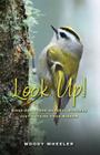 Look Up!: Birds and Other Natural Wonders Just Outside Your Window By Woody Wheeler Cover Image