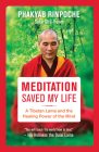 Meditation Saved My Life: A Tibetan Lama and the Healing Power of the Mind By Phakyab Rinpoche, Sofia Stril-Rever (With) Cover Image