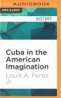 Cuba in the American Imagination: Metaphor and the Imperial Ethos By Louis A. Perez, Drew Birdseye (Read by) Cover Image