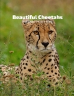 Beautiful Cheetahs Full-Color Picture Book: Big Cats Picture Book for Children, Seniors and Alzheimer's Patients -Nature Animals Wildlife Cover Image