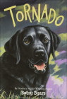Tornado (Trophy Chapter Books) By Betsy Cromer Byars, Doron Ben-Ami (Illustrator) Cover Image