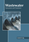 Wastewater: Assessment and Treatment By Gabriel Craig (Editor) Cover Image