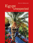 Egypt Unexpected: 1001 Days in Photographs By Silvia Dogliani Cover Image