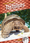 Tortoises By Julie Murray Cover Image