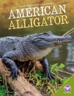 American Alligator (Back from Near Extinction) Cover Image