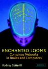 Enchanted Looms: Conscious Networks in Brains and Computers By Rodney Cotterill Cover Image
