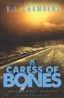 A Caress of Bones: a serial killer thriller By V. J. Chambers Cover Image