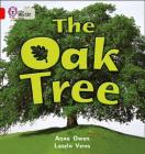 The Oak Tree: Red B/Band 2B (Collins Big Cat) By Anna Owen, Laszlo Veres (By (photographer)) Cover Image