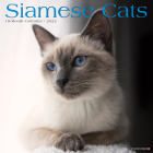 Siamese Cats 2022 Wall Calendar (Cat Breed) Cover Image