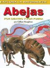 Abejas: Por Dentro Y Por Fuera (Bees: Inside and Out) = Bees By Gillian Houghton Cover Image