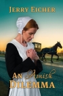 An Amish Dilemma By Jerry Eicher Cover Image