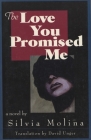 The Love You Promised Me Cover Image