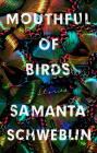 Mouthful of Birds: Stories By Samanta Schweblin, Megan McDowell (Translated by) Cover Image
