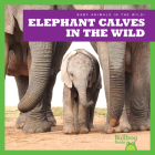Elephant Calves in the Wild By Marie Brandle Cover Image