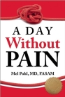 A Day Without Pain By Mel Pohl Cover Image