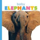 Baby Elephants (Starting Out) By Kate Riggs Cover Image
