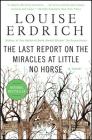 The Last Report on the Miracles at Little No Horse: A Novel Cover Image