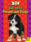 Bernese Mountain Dogs (All about Dogs) Cover Image