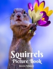 Squirrels Picture Book: A Gift Book for Alzheimer's Patients and Seniors with Dementia Elderly Men and Women A photo Book for Kids and Childre Cover Image