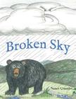 Broken Sky By Nancy Crumley, Nancy Crumley (Illustrator) Cover Image