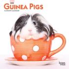 Guinea Pigs 2020 Mini 7x7 Cover Image