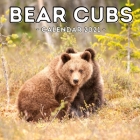 Bear Cubs Calendar 2021: 16-Month Calendar, Cute Gift Idea For Newborn Bear Lovers Women & Men Cover Image