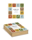 Sibley Backyard Birds Matching Game: A Memory Game with 20 Matching Pairs for Children (Sibley Birds) Cover Image