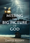Missing The Big Picture Of God: What Is Not Acknowledged And Preached From The Bible Cover Image