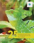 Wildlife In Central America 1: 25 Amazing Animals Living in Tropical Rainforest and River Habitats By Cyril Brass (Photographer), Cyril Brass Cover Image