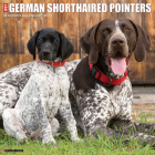 Just German Shorthaired Pointers 2024 12 X 12 Wall Calendar By Willow Creek Press Cover Image