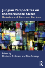 Jungian Perspectives on Indeterminate States: Betwixt and Between Borders By Elizabeth Brodersen (Editor), Pilar Amezaga (Editor) Cover Image