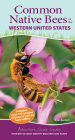 Common Native Bees of the Western United States: Your Way to Easily Identify Bees and Look-Alikes (Adventure Quick Guides) Cover Image