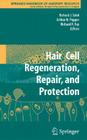 Hair Cell Regeneration, Repair, and Protection (Springer Handbook of Auditory Research #33) Cover Image
