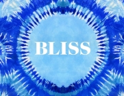 Bliss: Transformational Festivals & the Neo Hippie Cover Image
