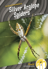 Silver Argiope Spiders By Julie Murray Cover Image