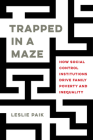 Trapped in a Maze: How Social Control Institutions Drive Family Poverty and Inequality By Leslie Paik Cover Image