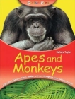 Kingfisher Young Knowledge: Apes and Monkeys Cover Image