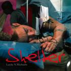 Lucky Michaels: Shelter By Lucky Michaels Cover Image