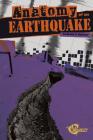Anatomy of an Earthquake (Disasters) By Renée C. Rebman Cover Image