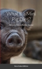 What if a Mini Pig Dies?: Novo Codex Editions By Bernardo Perez Cover Image