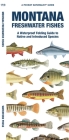 Montana Freshwater Fishes: A Waterproof Folding Guide to Familiar Species By Matthew Morris, Waterford Press, Raymond Leung (Illustrator) Cover Image