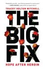 The Big Fix: Hope After Heroin By Tracey Helton Mitchell Cover Image