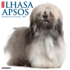 Just Lhasa Apsos 2023 Wall Calendar By Willow Creek Press Cover Image