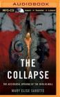 The Collapse: The Accidental Opening of the Berlin Wall By Mary Elise Sarotte, Elisabeth Rodgers (Read by) Cover Image